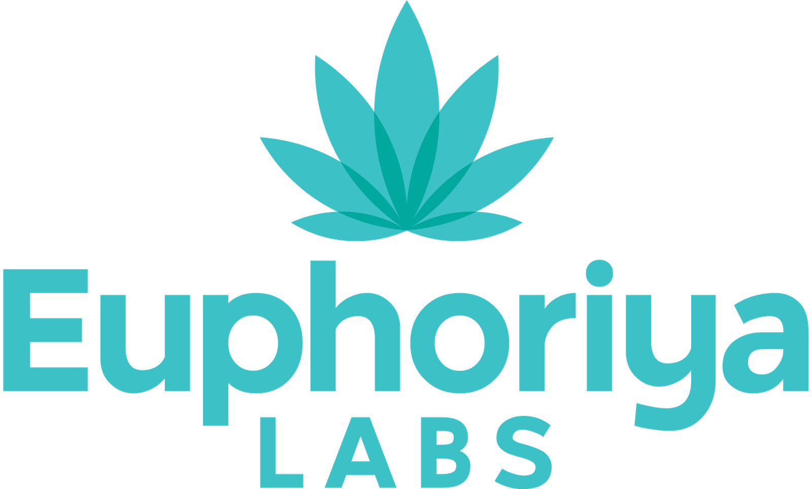 Euphoriya Labs